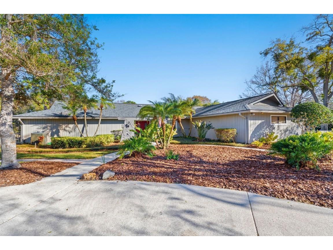 2342 Pine Tree Terrace Palm Harbor FL 34683 U8231977 image1