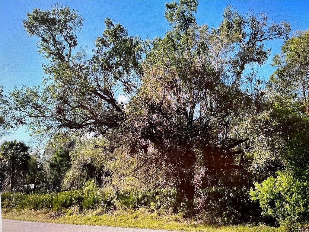 23422 Elmira Boulevard Punta Gorda FL 33980 N6140883 image2