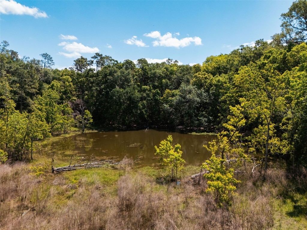 23423 Oak Lane Sorrento FL 32776 O6301041 image12