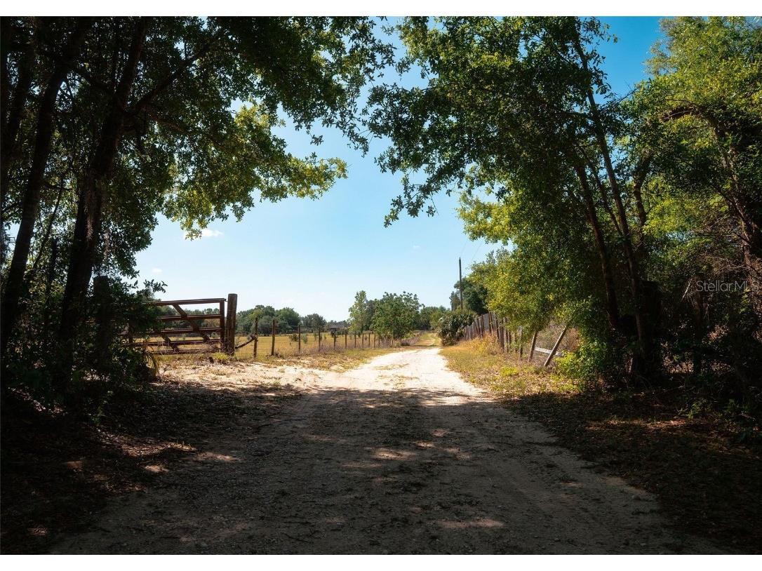 23423 Oak Lane Sorrento FL 32776 O6301041 image14