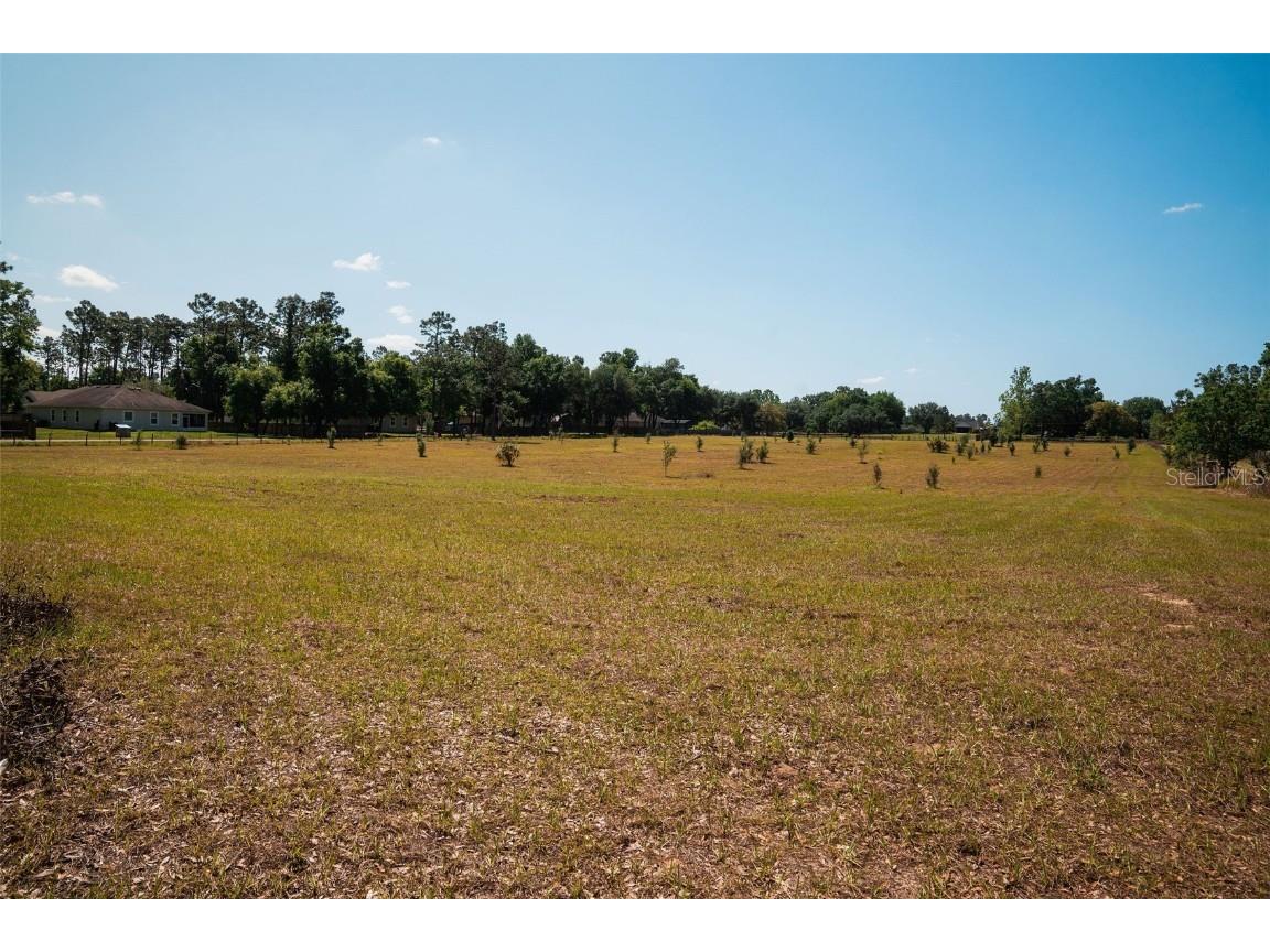 23423 Oak Lane Sorrento FL 32776 O6301041 image4