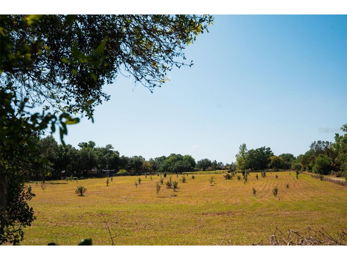 23423 Oak Lane Sorrento FL 32776 O6301041 image6