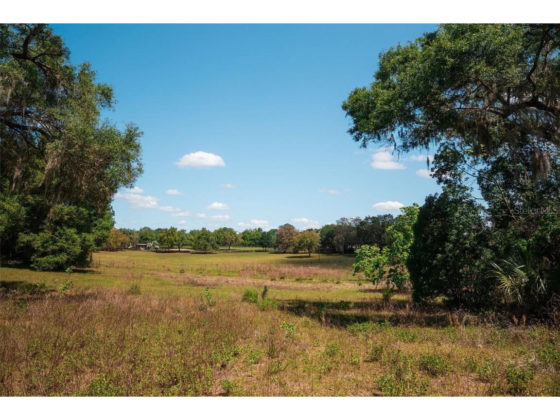 23423 Oak Lane Sorrento FL 32776 O6301041 image8