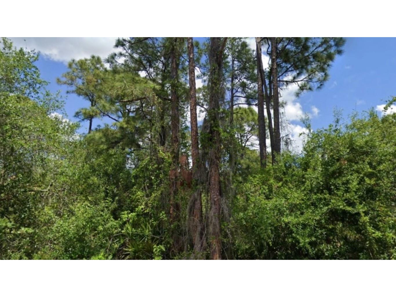 23424 Mcbride Avenue Port Charlotte FL 33980 O6200529 image1