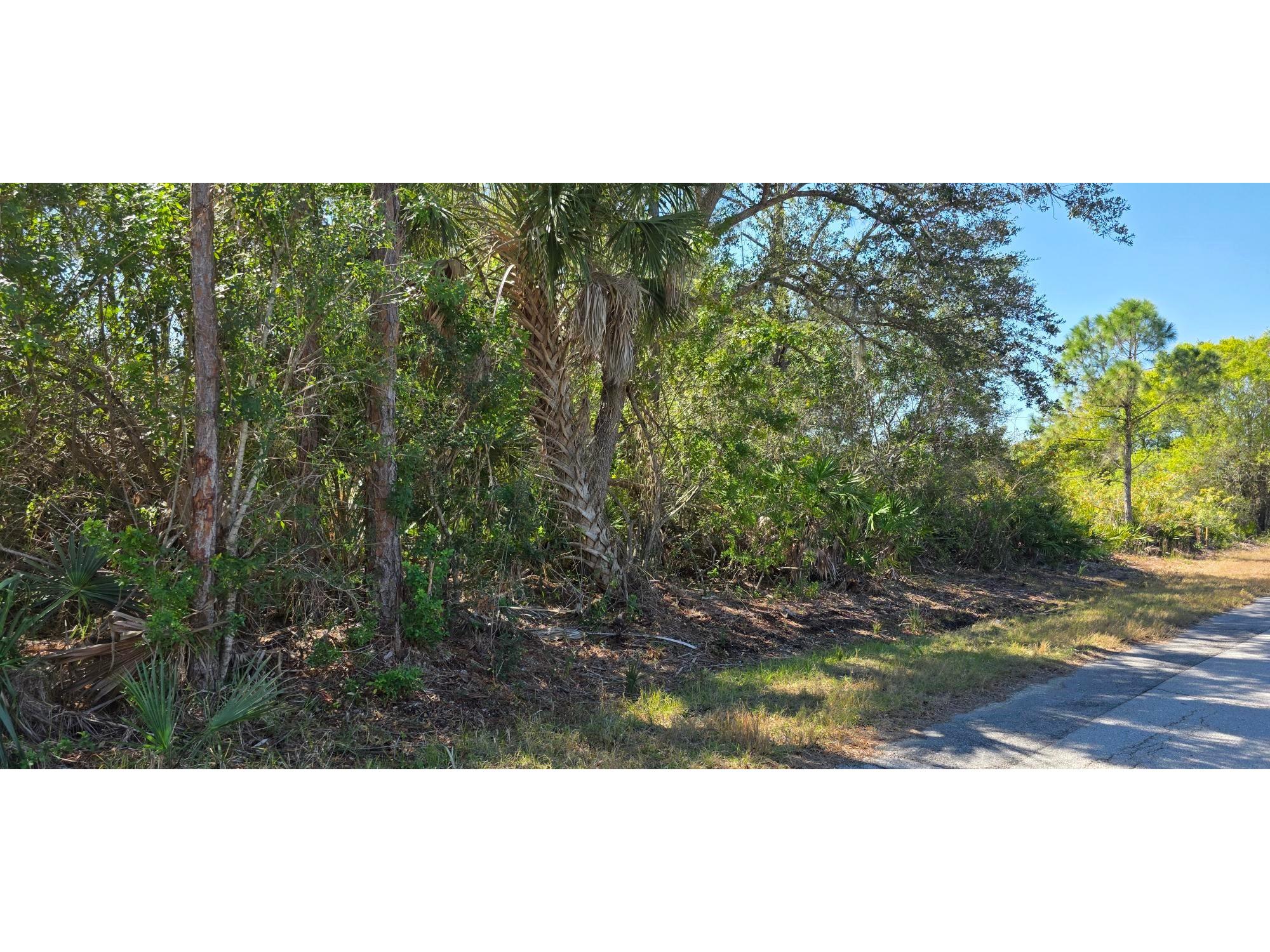 23429 Wickens Avenue Punta Gorda FL 33980 C7521645 image1