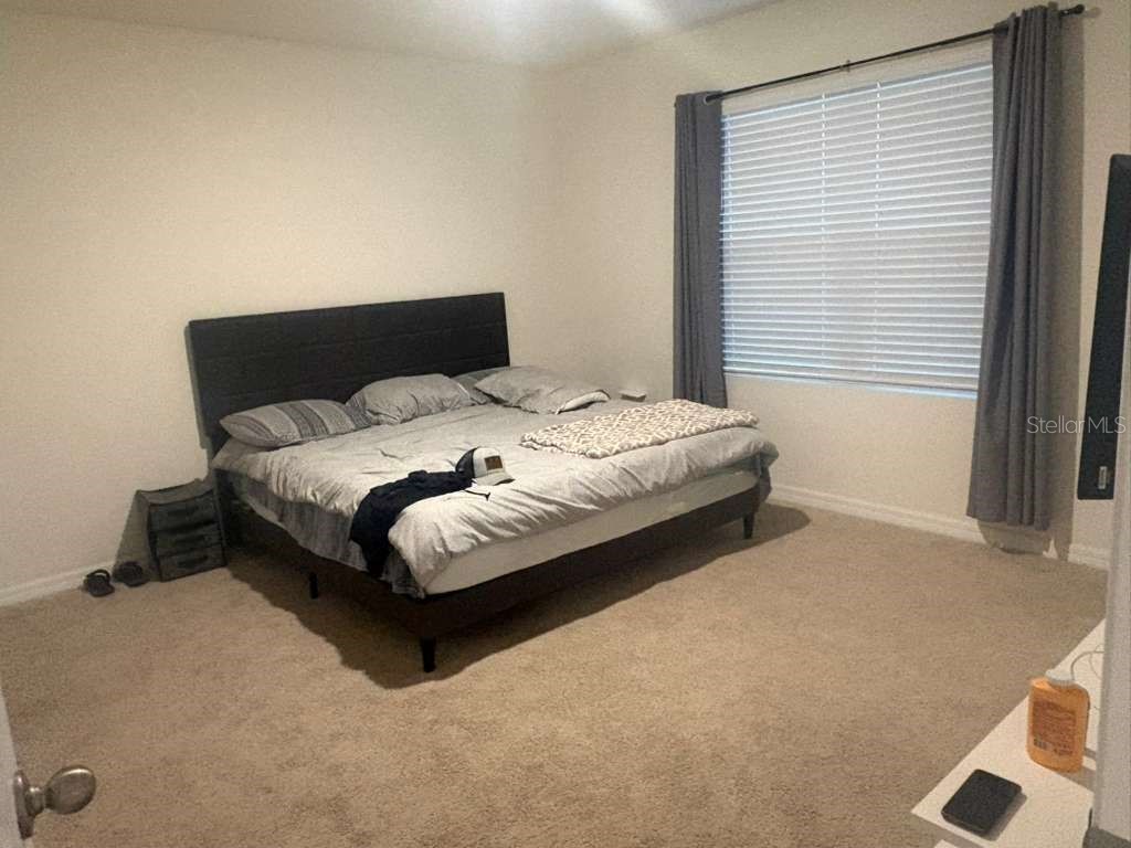 2343 Aquiline Nest Street Eagle Lake FL 33839 O6393122 image7