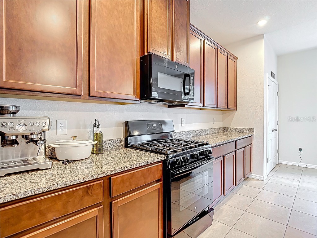 2343 Pergola Way Odessa FL 33556 TB8401643 image10