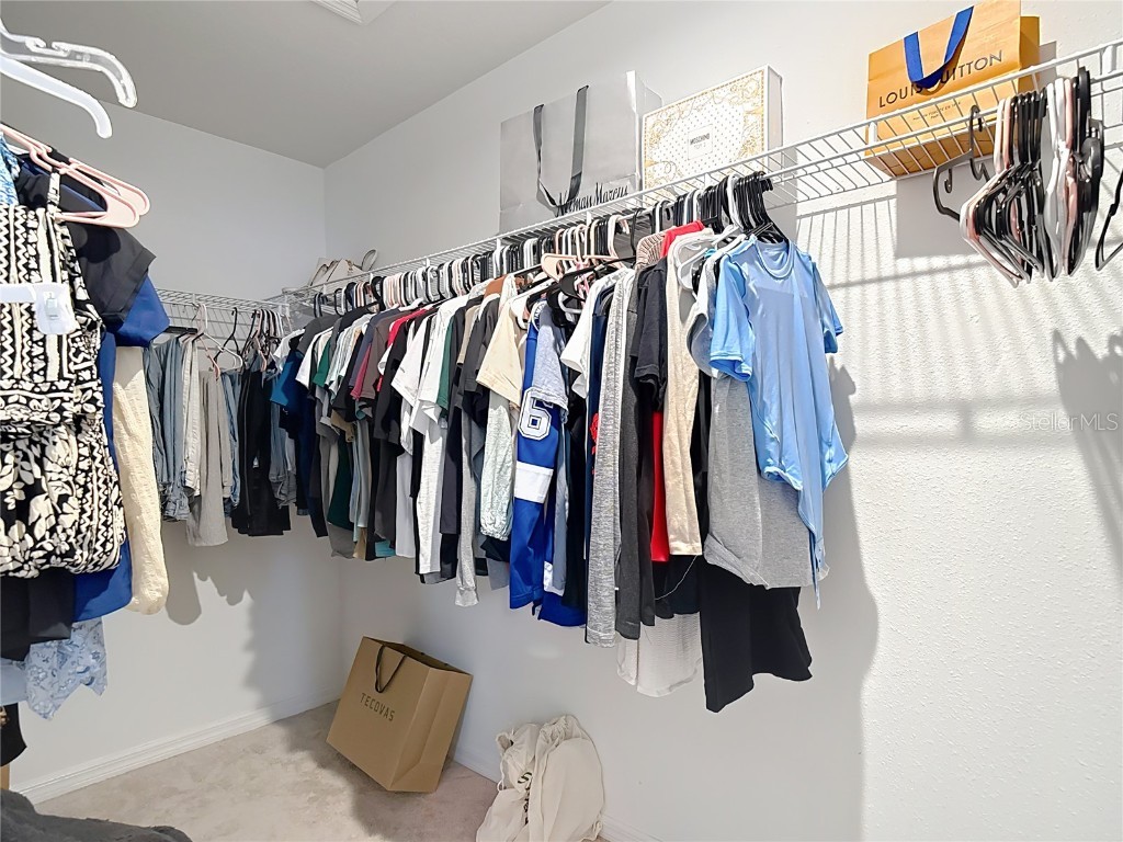 2343 Pergola Way Odessa FL 33556 TB8401643 image24