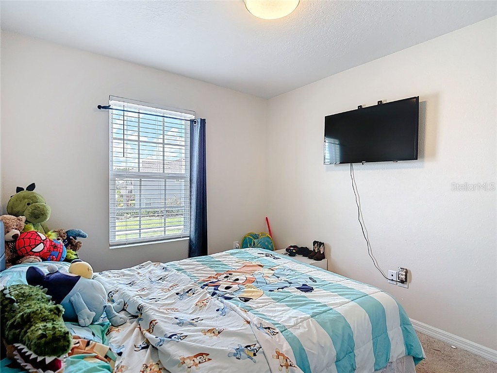 2343 Pergola Way Odessa FL 33556 TB8401643 image25