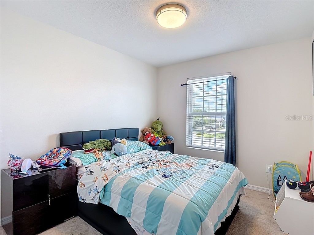 2343 Pergola Way Odessa FL 33556 TB8401643 image26