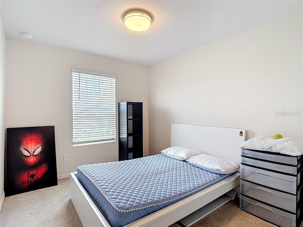 2343 Pergola Way Odessa FL 33556 TB8401643 image30