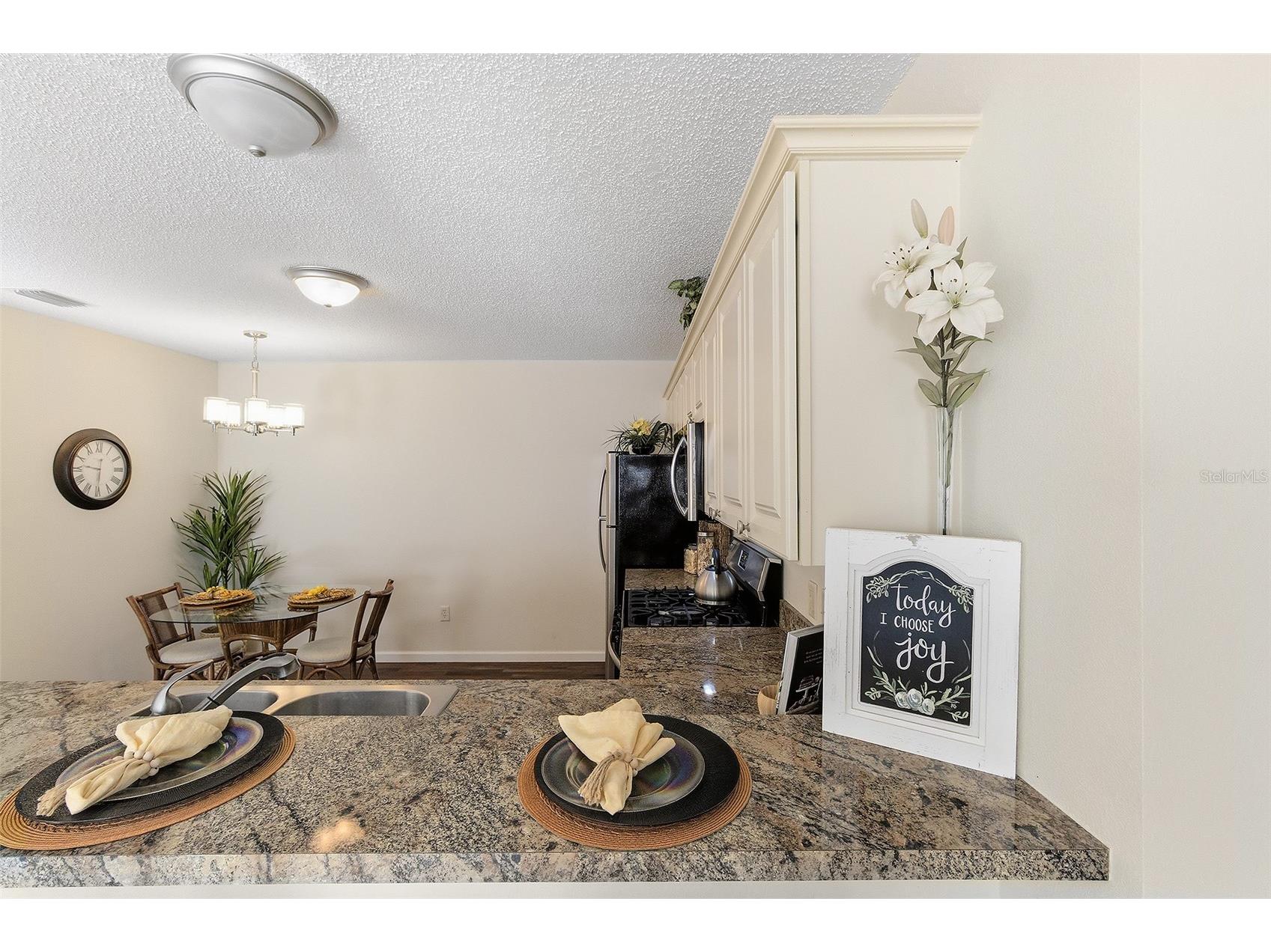 2343 Pine Ridge Street The Villages FL 32162 G5110688 image8