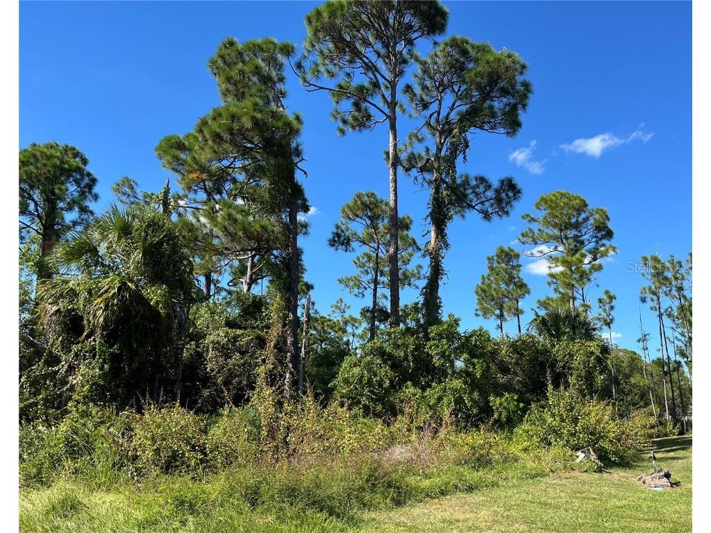 23436 Steeple Avenue Port Charlotte FL 33980 A4668969 image1