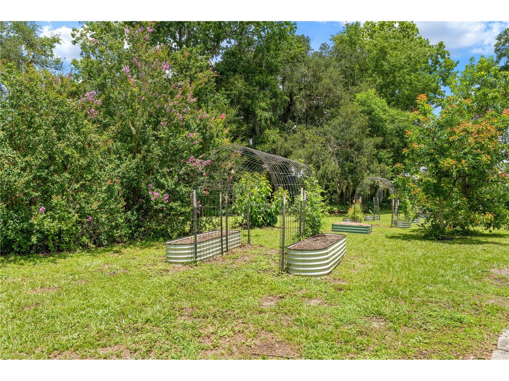 23439 Croom Road Brooksville FL 34601 W7886895 image45