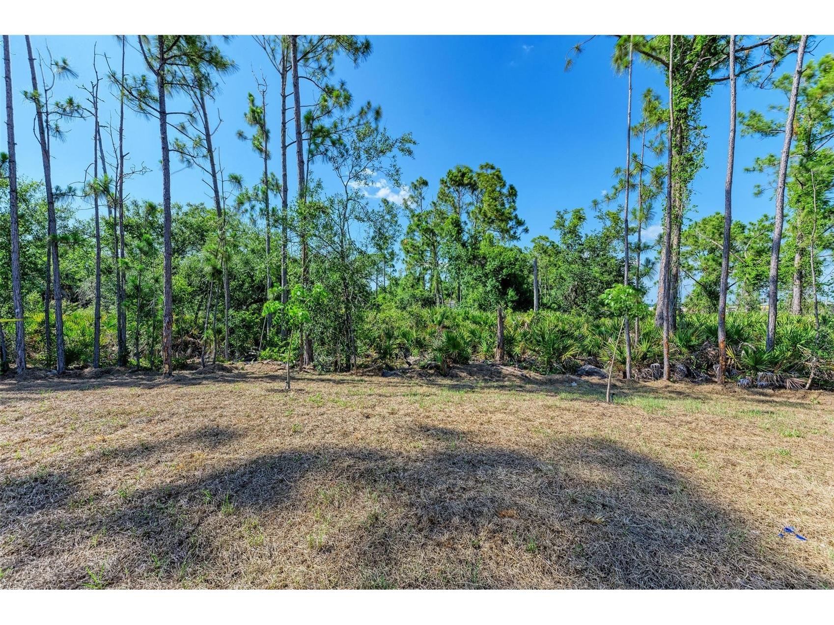 23444 Steeple Avenue Punta Gorda FL 33980 O6399804 image25