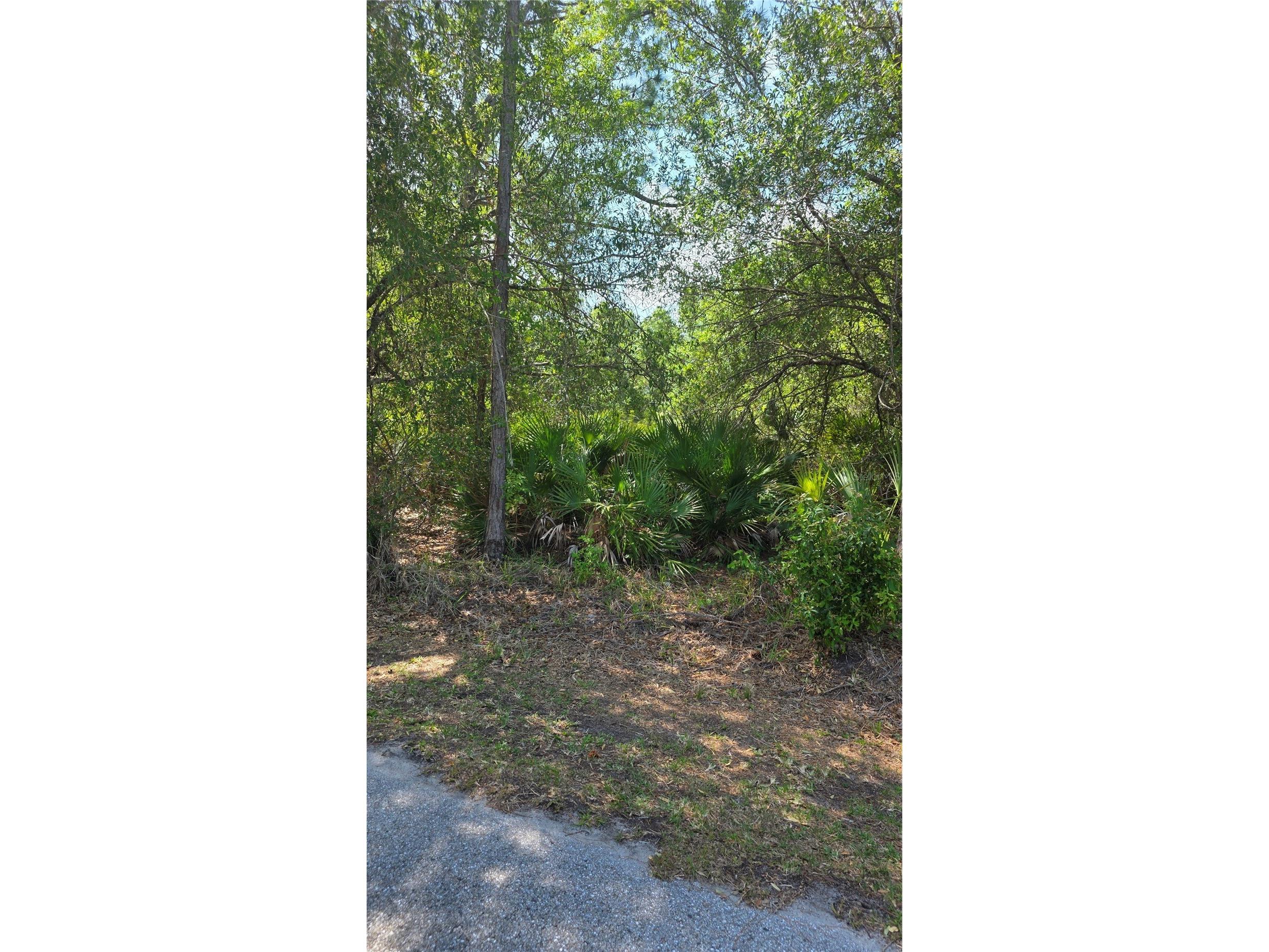 23445 Chimes Avenue Punta Gorda FL 33980 C7520856 image4