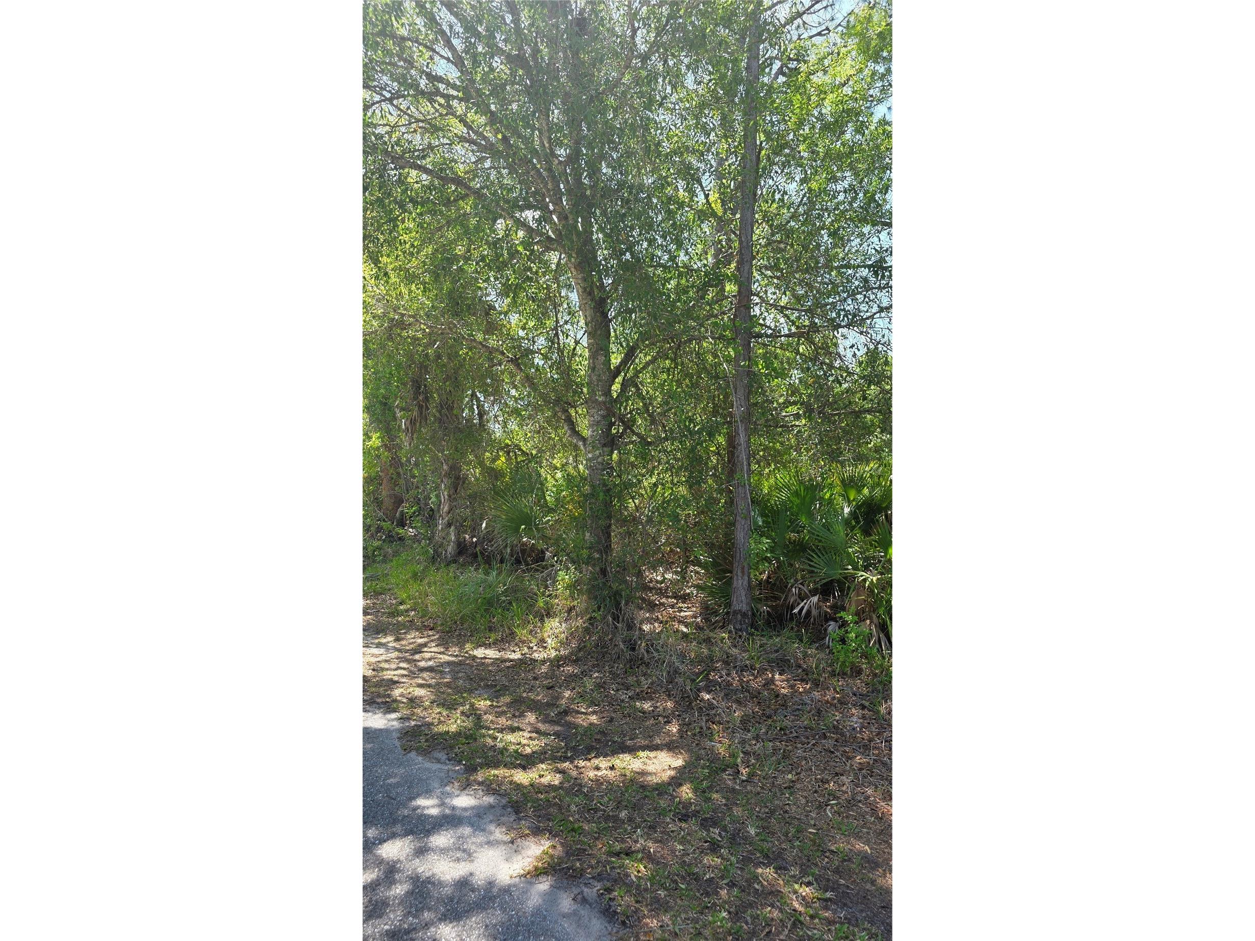 23445 Chimes Avenue Punta Gorda FL 33980 C7520856 image5