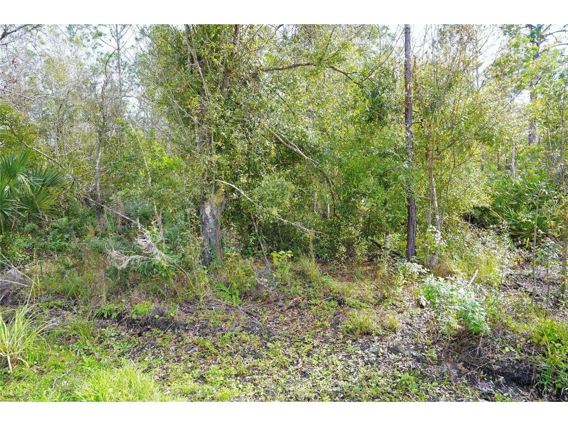 23447 Corinne Avenue Punta Gorda FL 33980 C7504337 image1