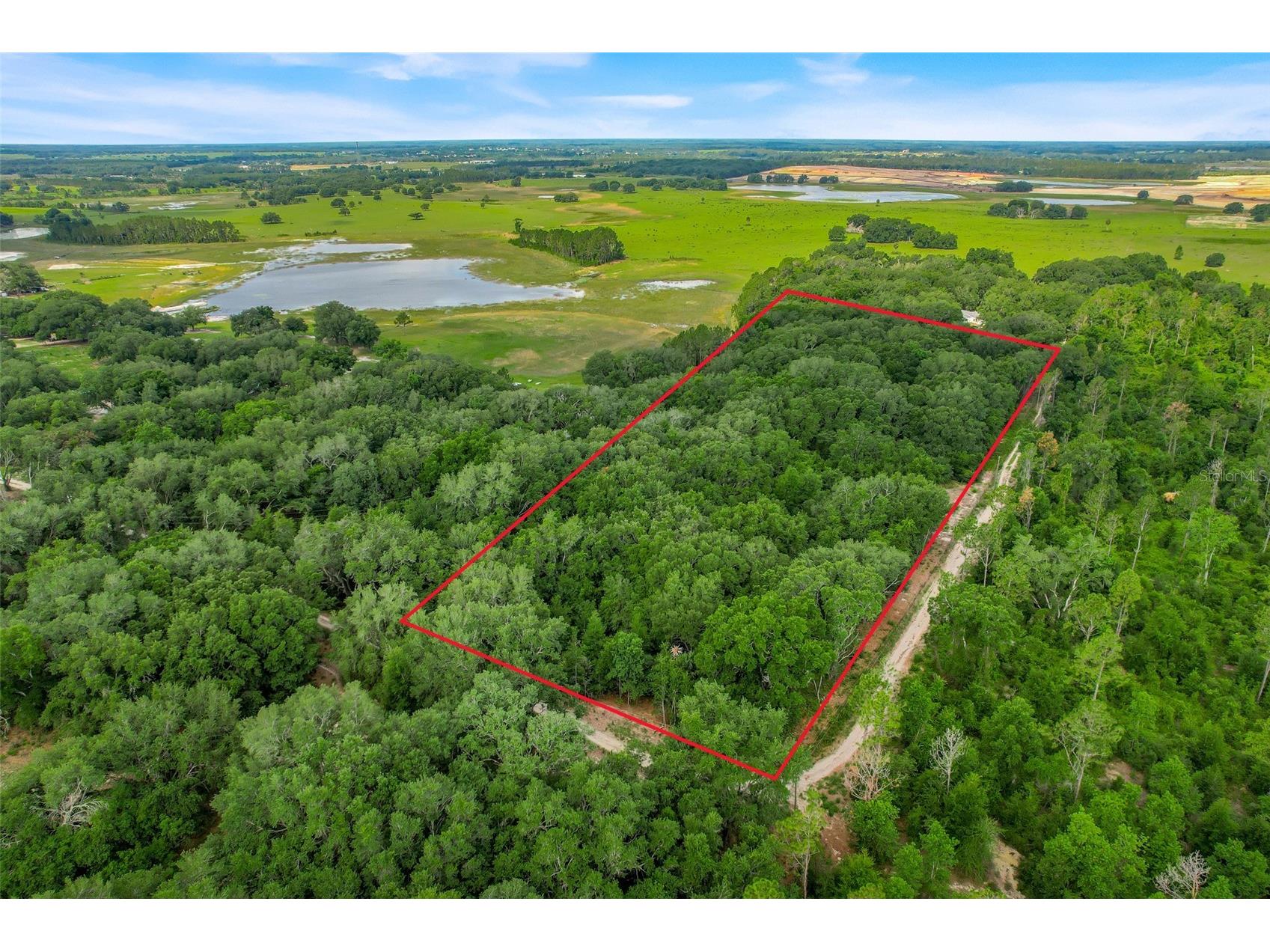 23449 Thomas Allen Road Howey In The Hills FL 34737 - LAKE GUAVE G5113157 image10