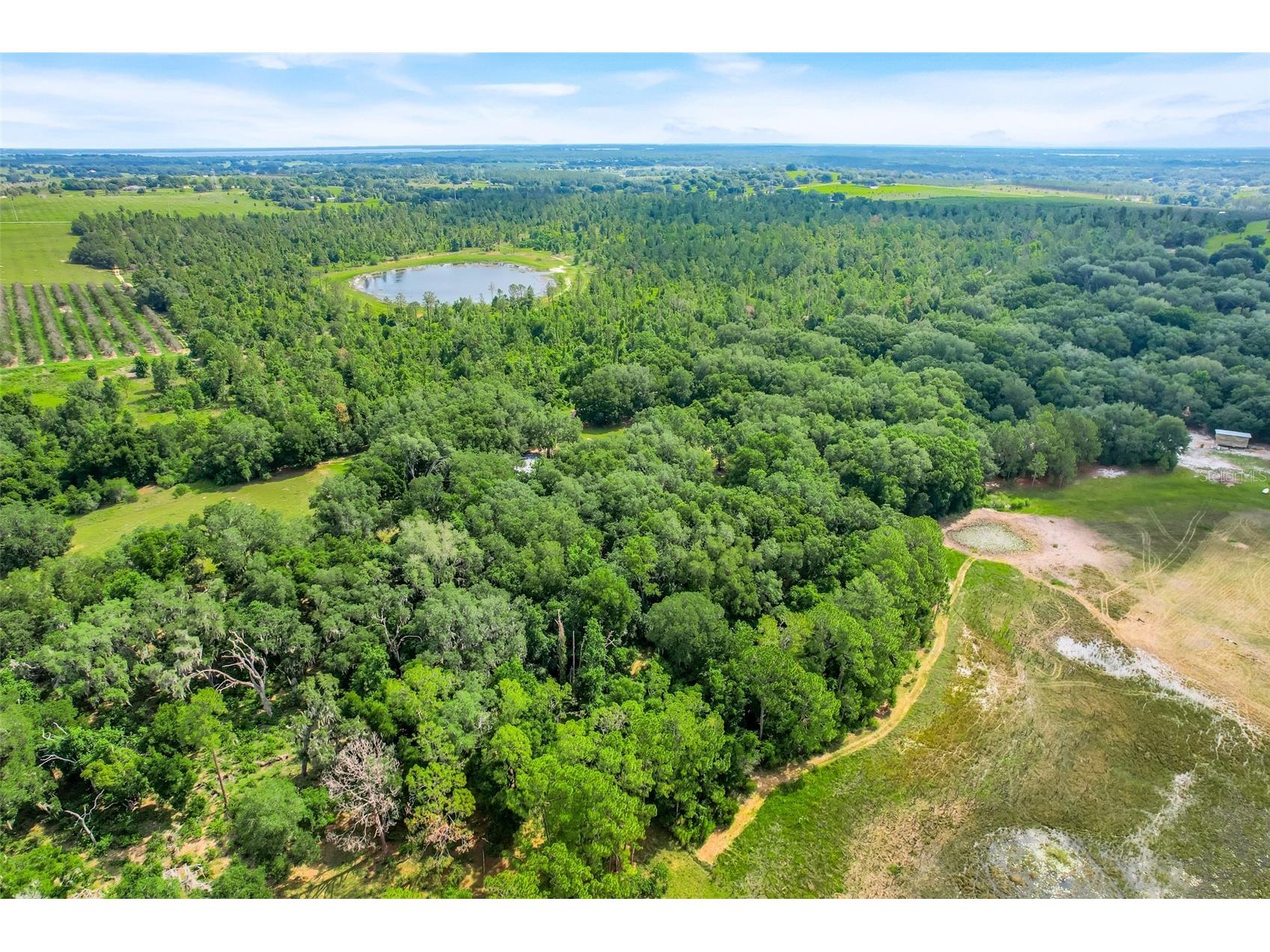 23449 Thomas Allen Road Howey In The Hills FL 34737 - LAKE GUAVE G5113157 image5