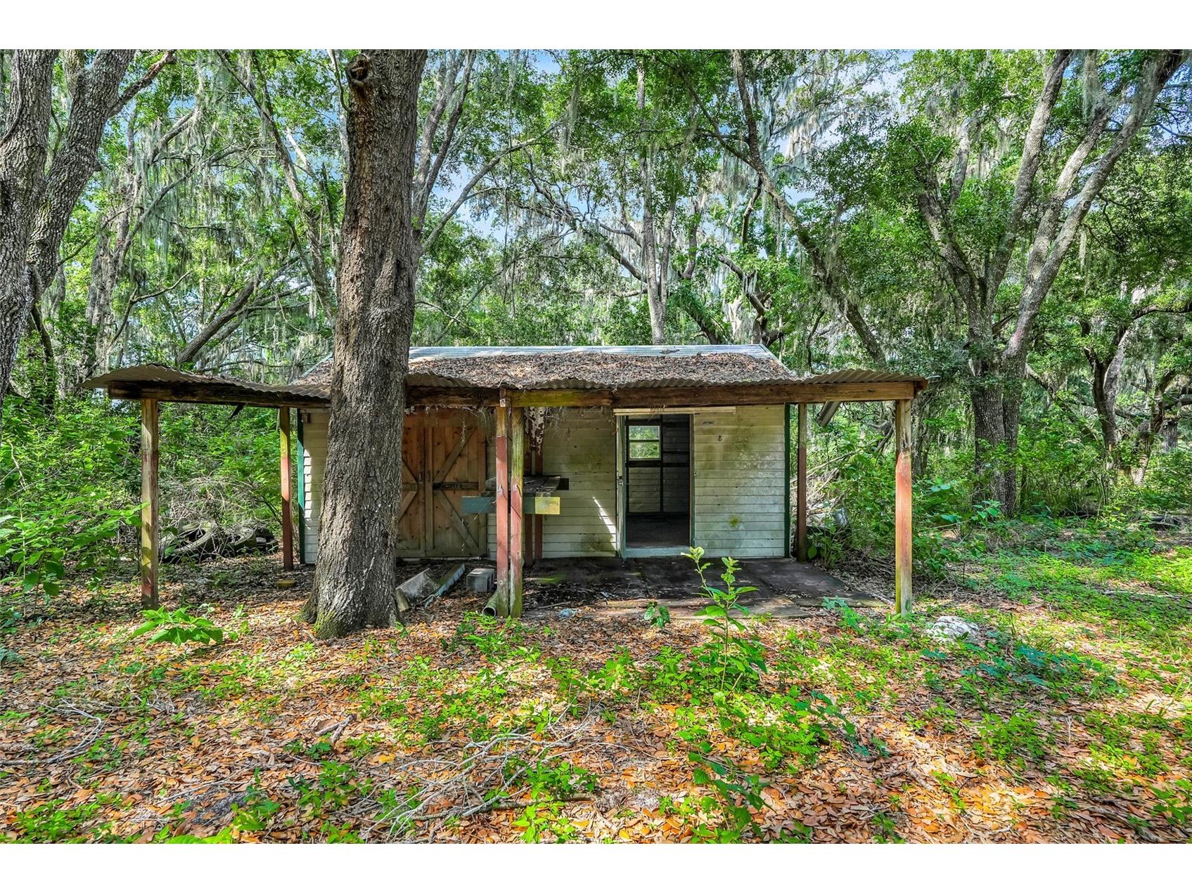 23449 Thomas Allen Road Howey In The Hills FL 34737 - LAKE GUAVE G5113157 image50
