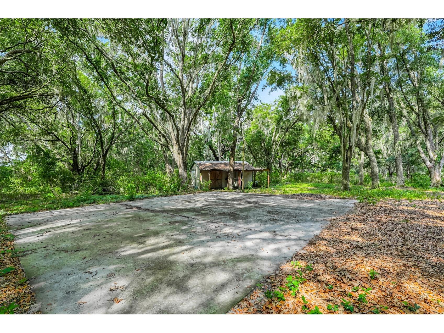 23449 Thomas Allen Road Howey In The Hills FL 34737 - LAKE GUAVE G5113157 image52