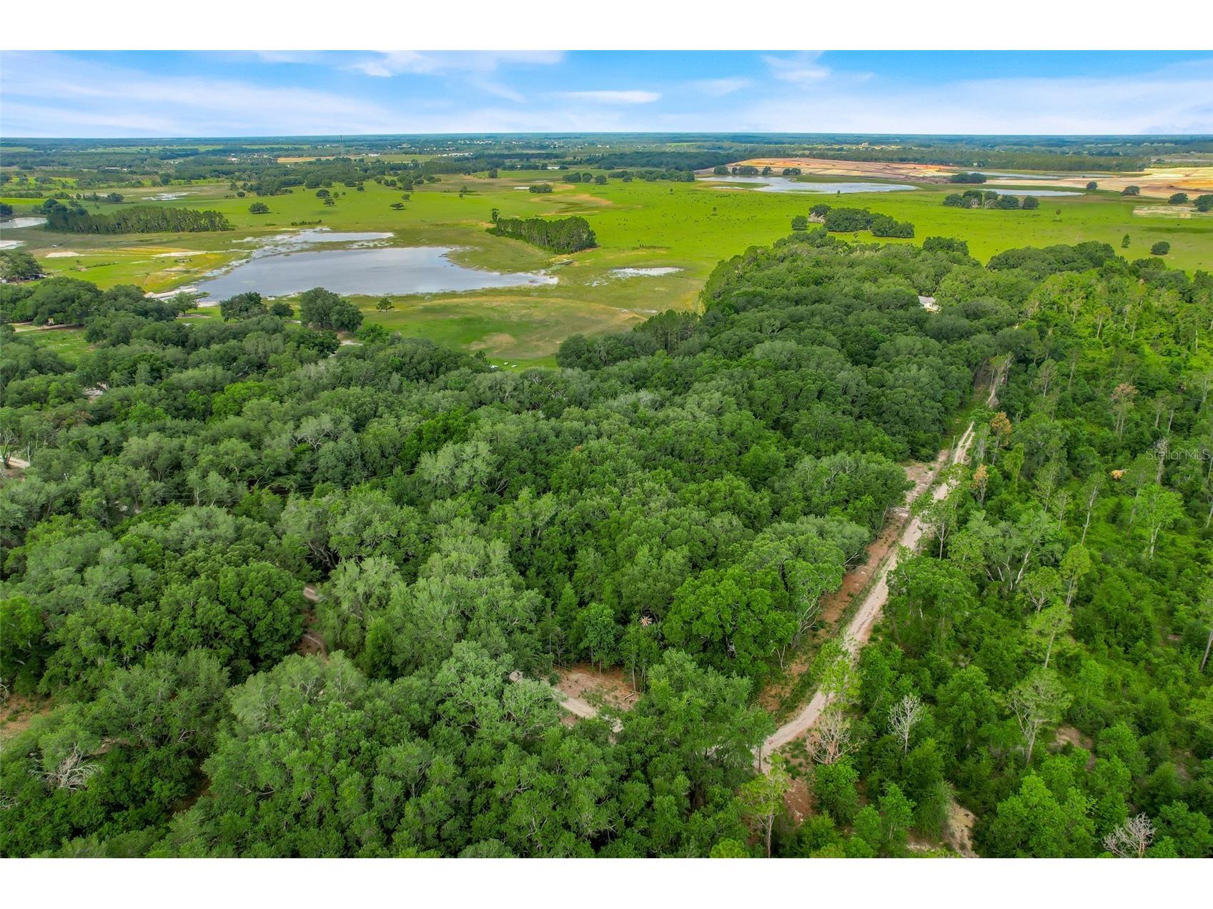 23449 Thomas Allen Road Howey In The Hills FL 34737 - LAKE GUAVE G5113157 image8