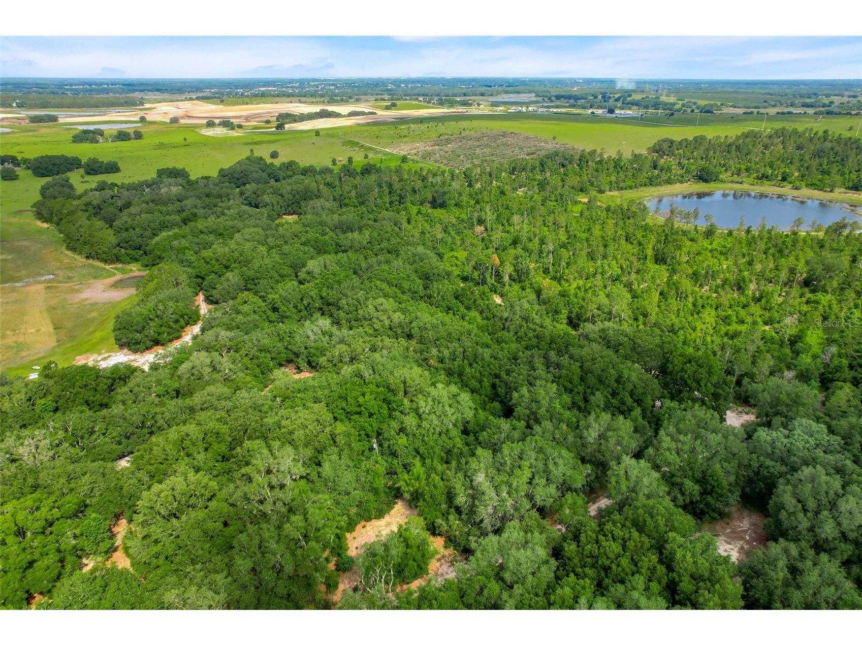 23449 Thomas Allen Road Howey In The Hills FL 34737 - LAKE GUAVE G5113157 image9