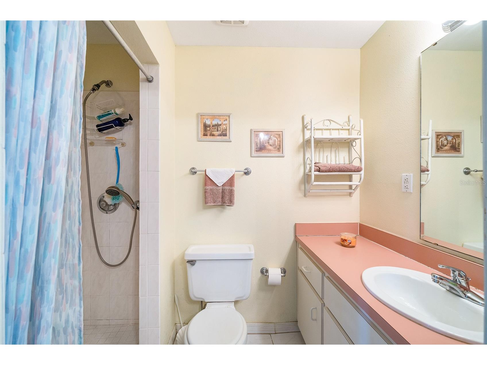 2345 Cr 453 Lake Panasoffkee FL 33538 OM726925 image33