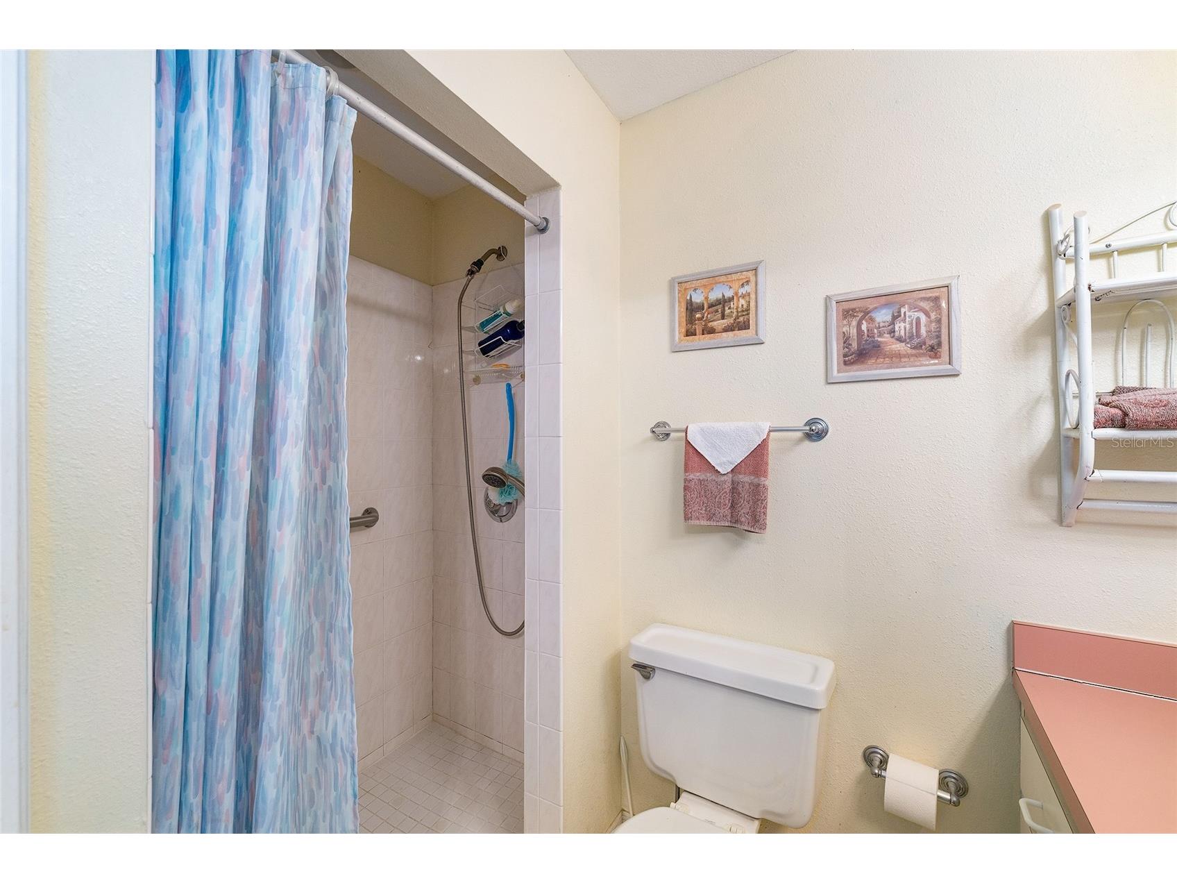 2345 Cr 453 Lake Panasoffkee FL 33538 OM726925 image34