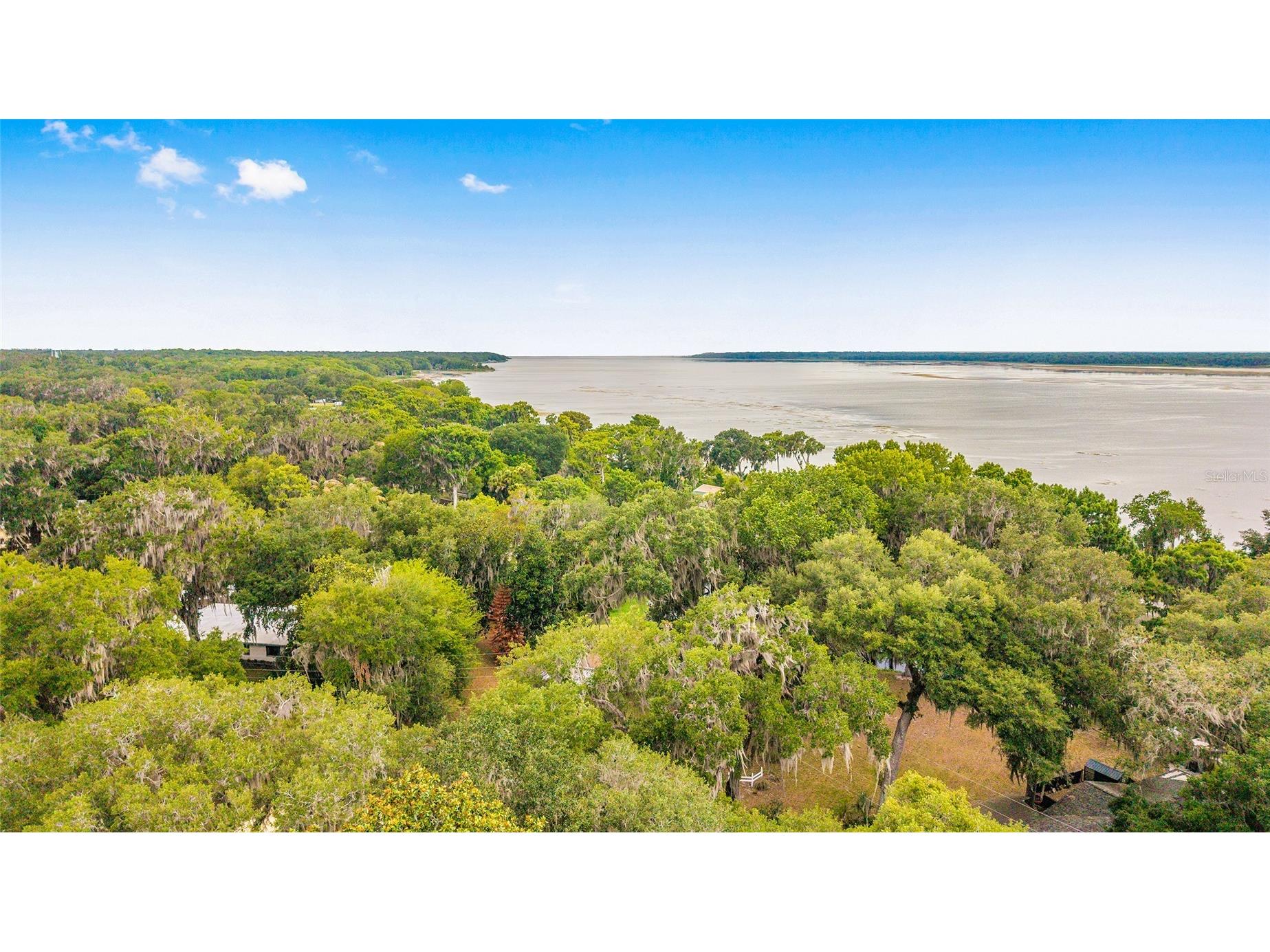 2345 Cr 453 Lake Panasoffkee FL 33538 OM726925 image59