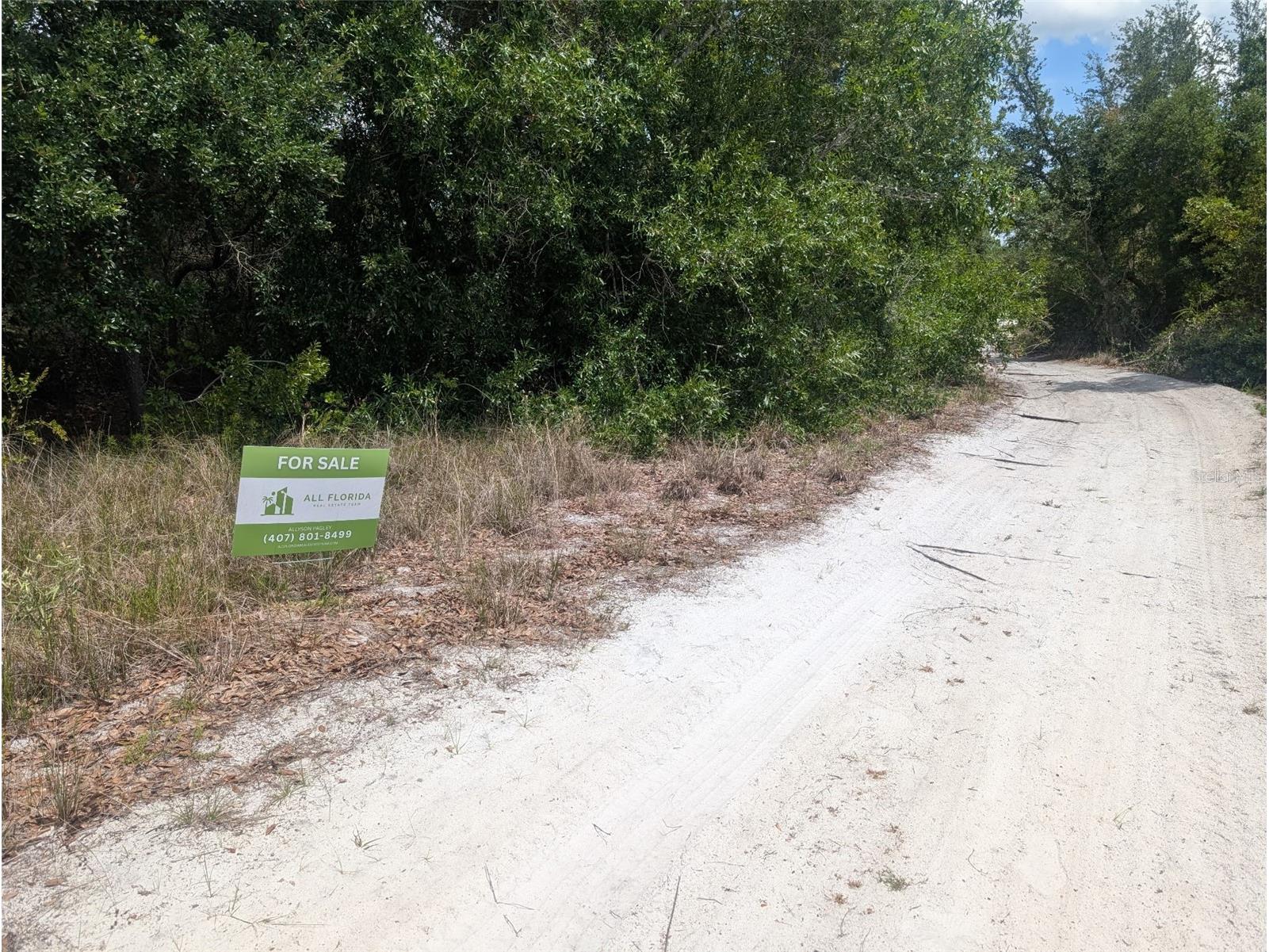 2345 Diplomat Drive Punta Gorda FL 33983 OM726019 image4