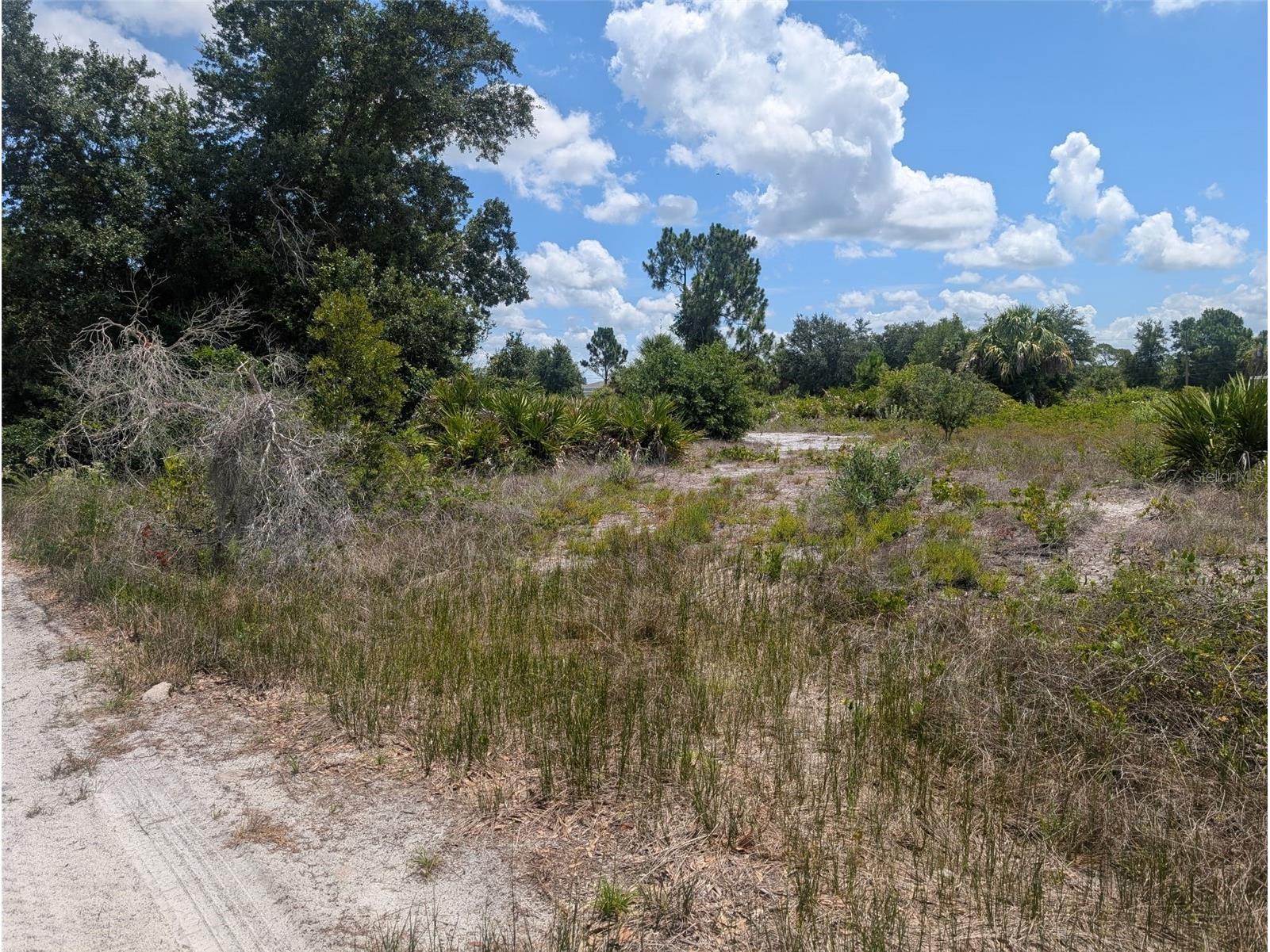 2345 Diplomat Drive Punta Gorda FL 33983 OM726019 image6
