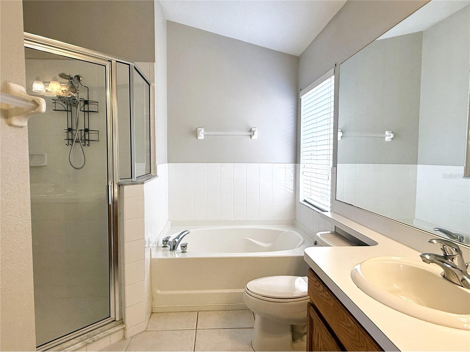2345 Roanoke Springs Drive Ruskin FL 33570 TB8512908 image18