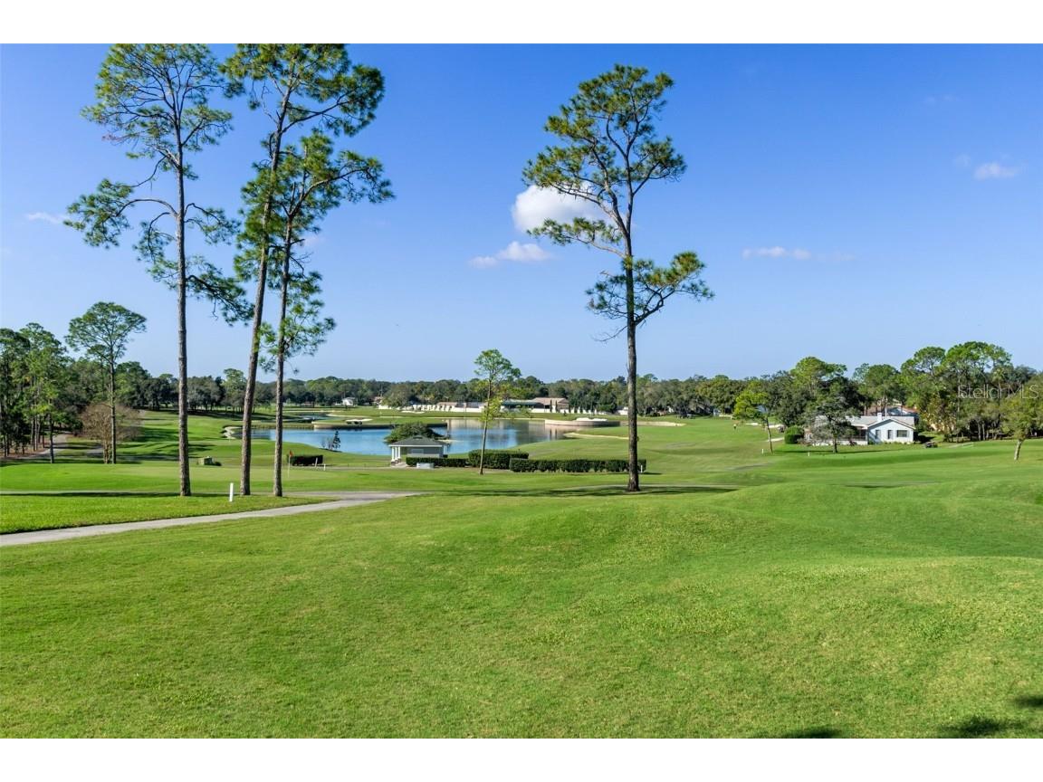 2345 Terrace View Lane Spring Hill FL 34606 W7878930 image51