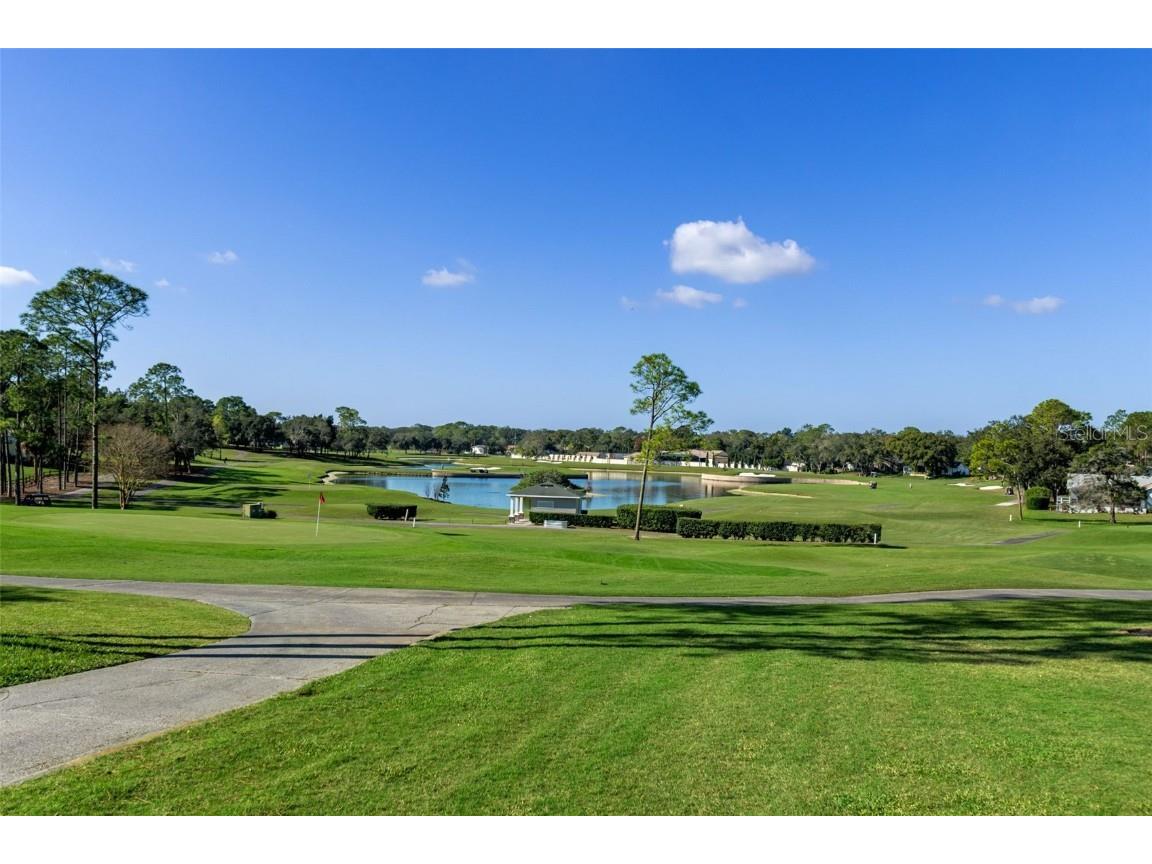 2345 Terrace View Lane Spring Hill FL 34606 W7878930 image52