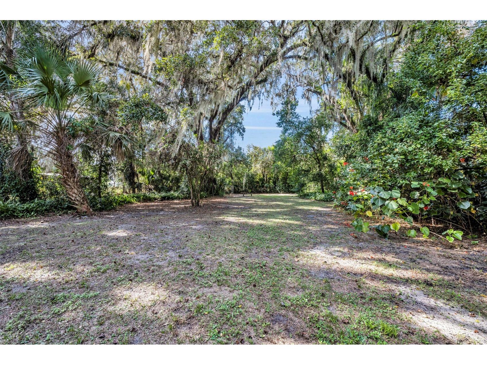 2346 Alice Avenue Eustis FL 32726 O6346562 image28