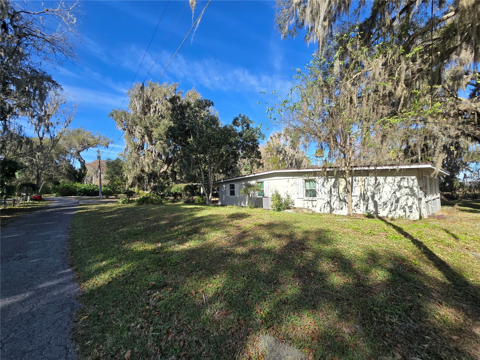2346 Cr 401 Lake Panasoffkee FL 33538 OM717040 image12