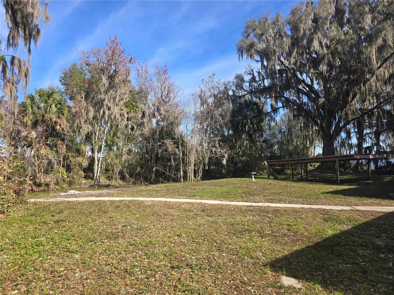 2346 Cr 401 Lake Panasoffkee FL 33538 OM717040 image18