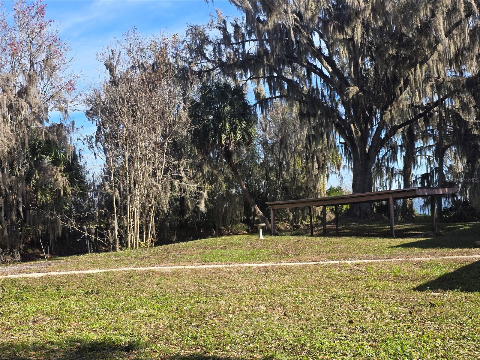 2346 Cr 401 Lake Panasoffkee FL 33538 OM717040 image19