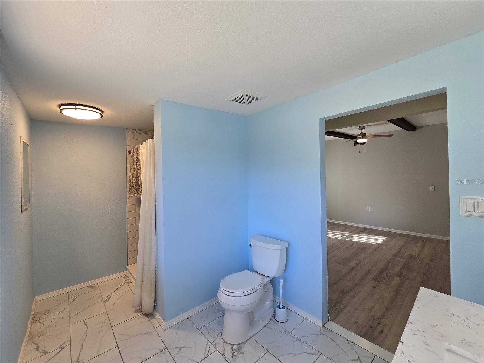 2346 Cr 401 Lake Panasoffkee FL 33538 OM717040 image33
