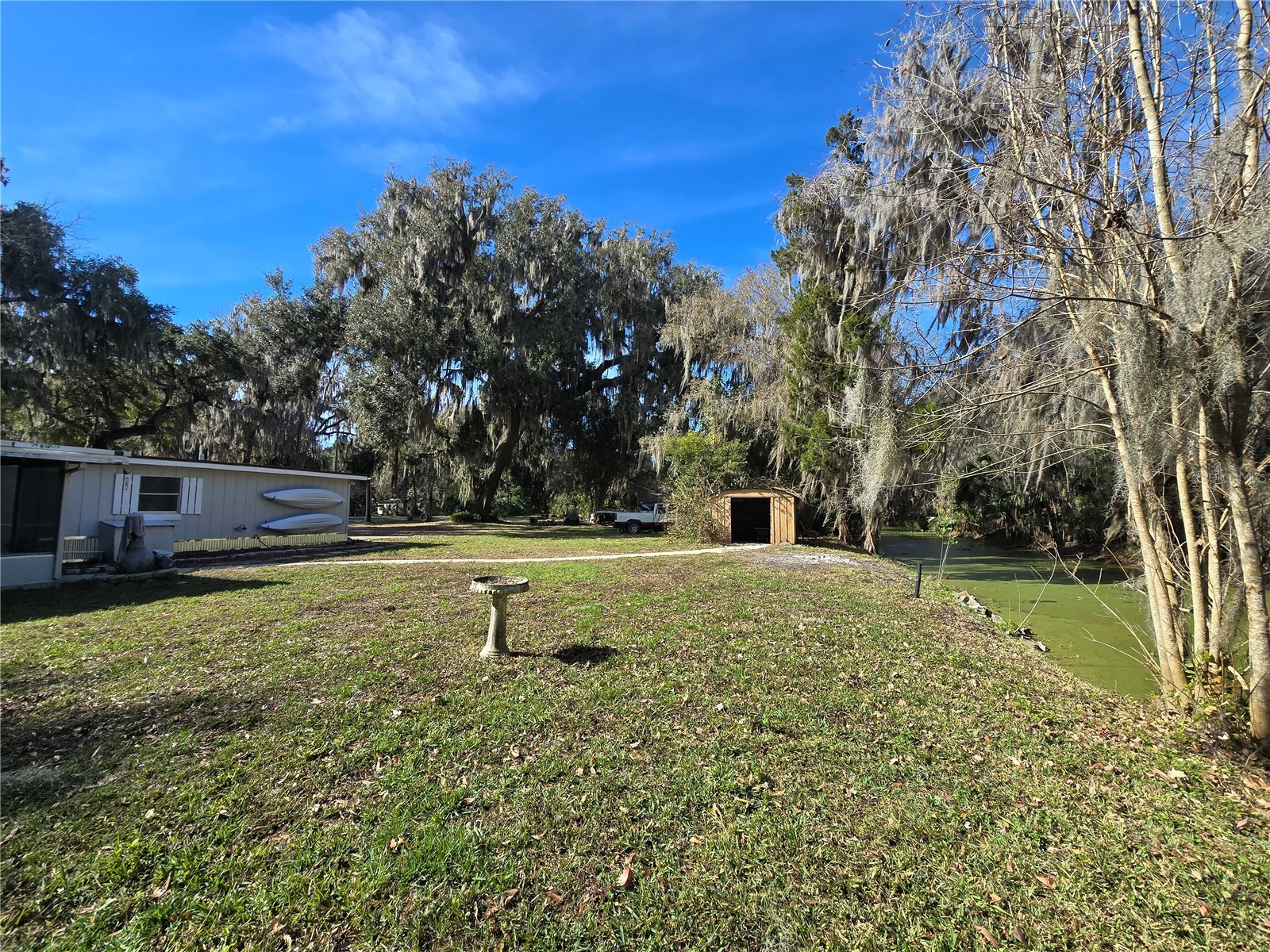 2346 Cr 401 Lake Panasoffkee FL 33538 OM717040 image5