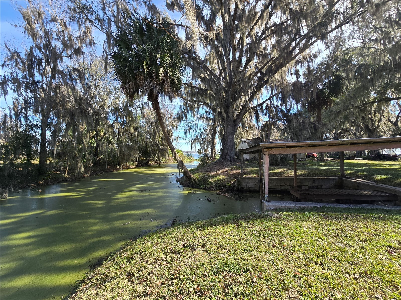 2346 Cr 401 Lake Panasoffkee FL 33538 OM717040 image8