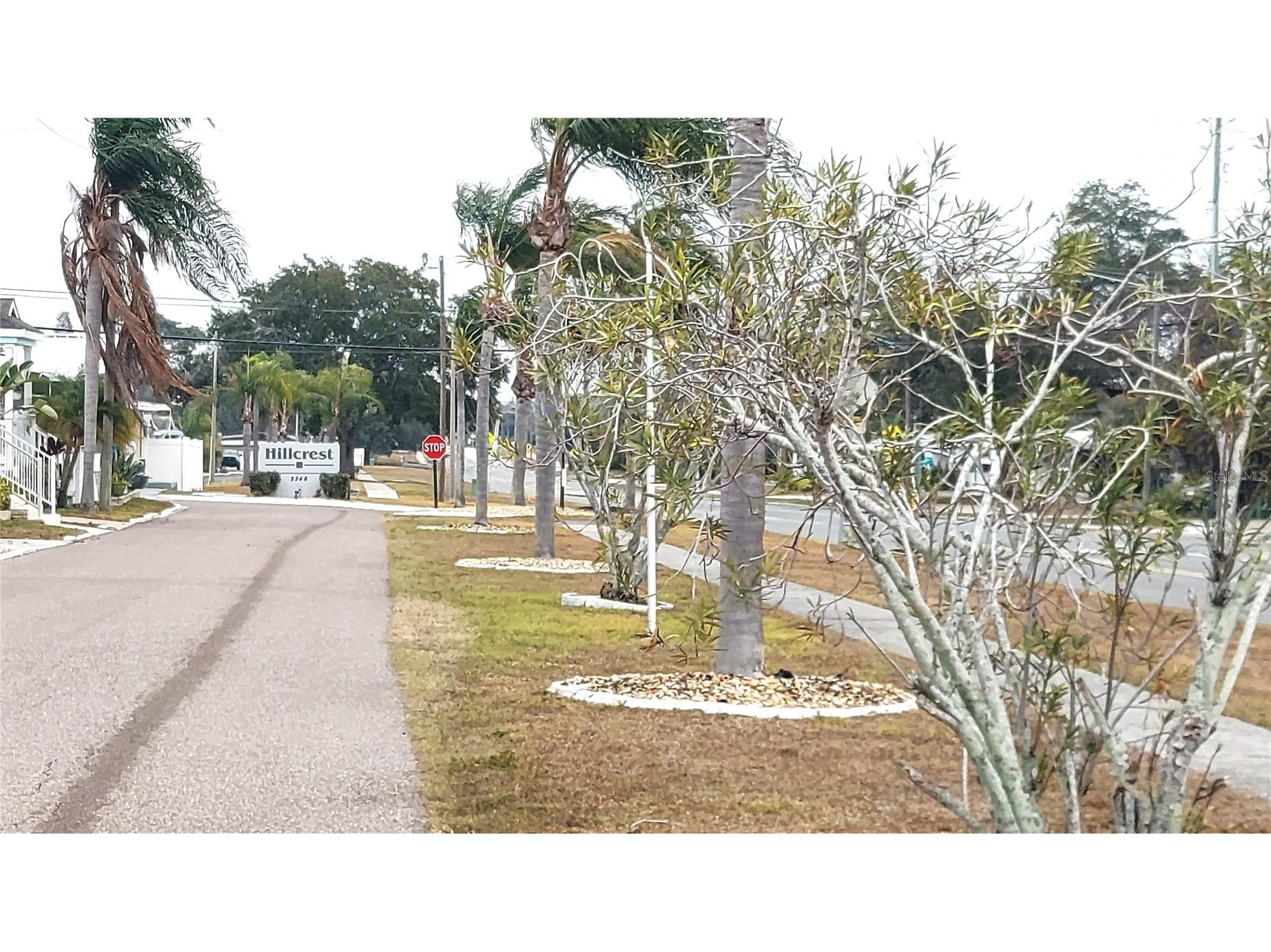 2346 Druid Road E #1106 Clearwater FL 33764 W7882815 image28