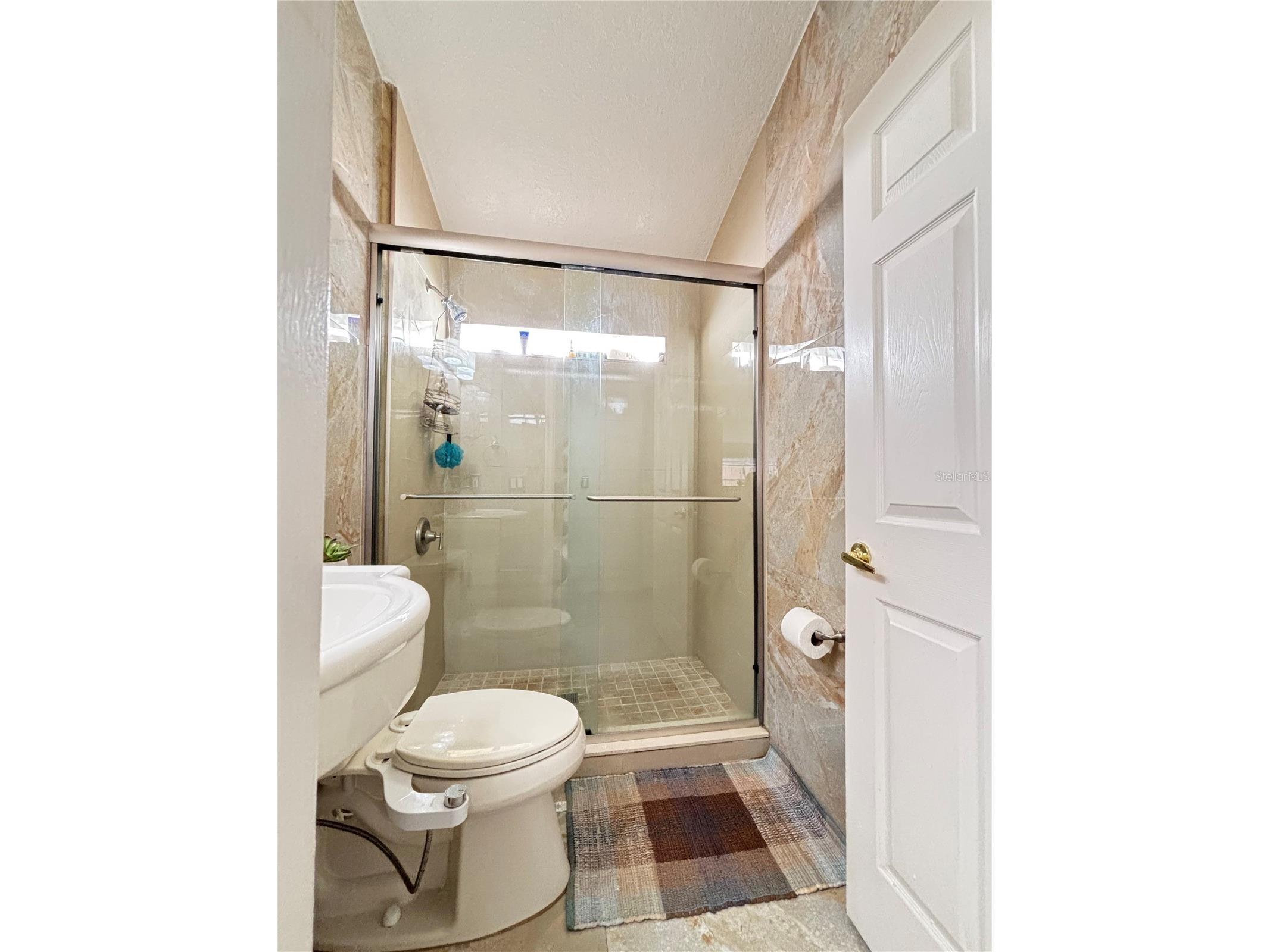 2346 Lily Pad Lane Kissimmee FL 34743 S5143818 image32