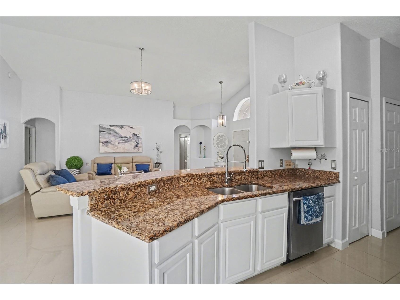 2346 Lily Pad Lane Kissimmee FL 34743 S5143818 image8