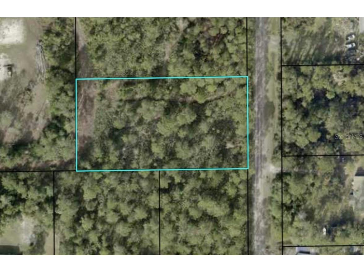 2346 Mangrove Street Bunnell FL 32110 FC300601 image1