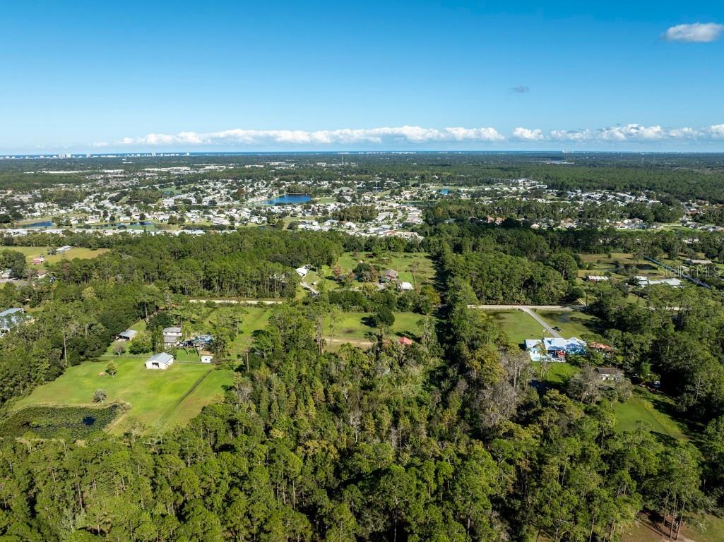 2346 Meadow Lane Port Orange FL 32128 O6352805 image44