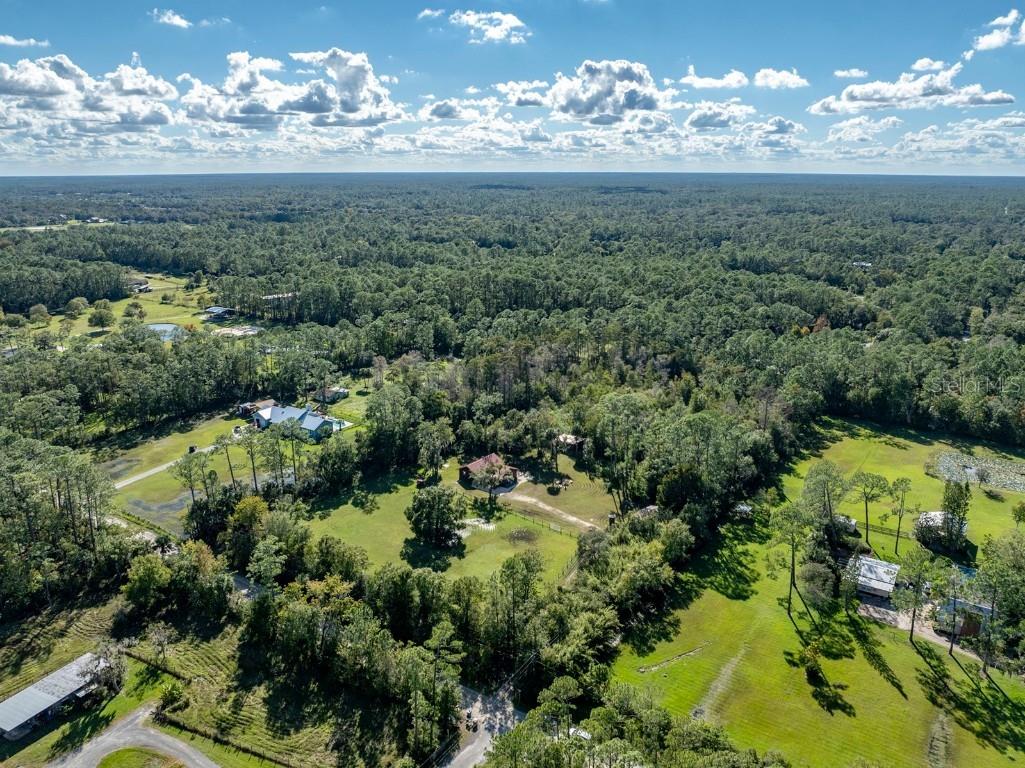 2346 Meadow Lane Port Orange FL 32128 O6352805 image51