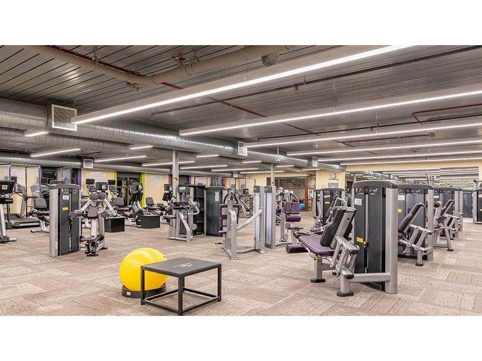 2346 Oakley Green Drive Sun City Center FL 33573 TB8450897 image63